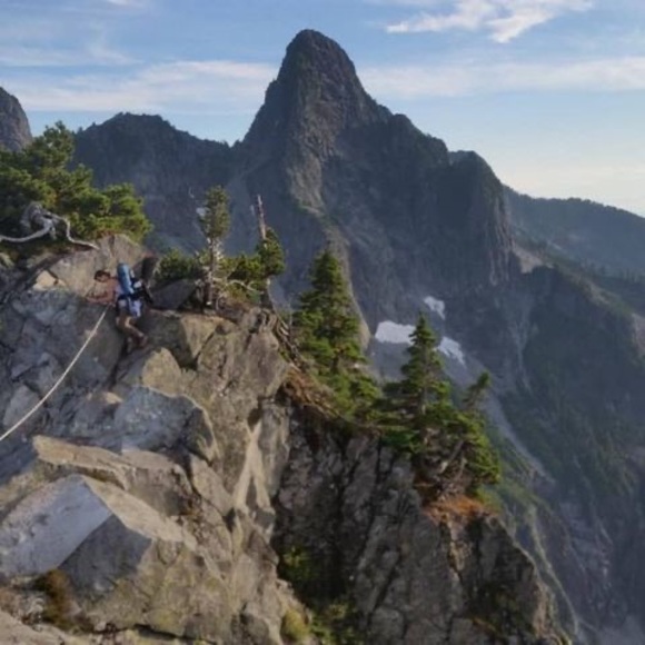 Meet your Posher, Savannah - Picture 1 of 1